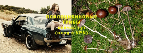 ALPHA-PVP Алексин