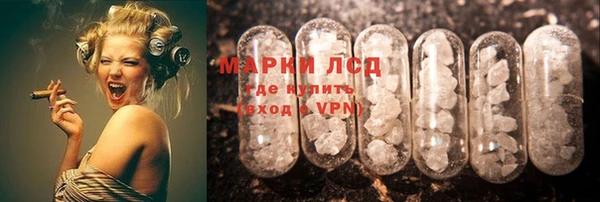 хмурый Пересвет