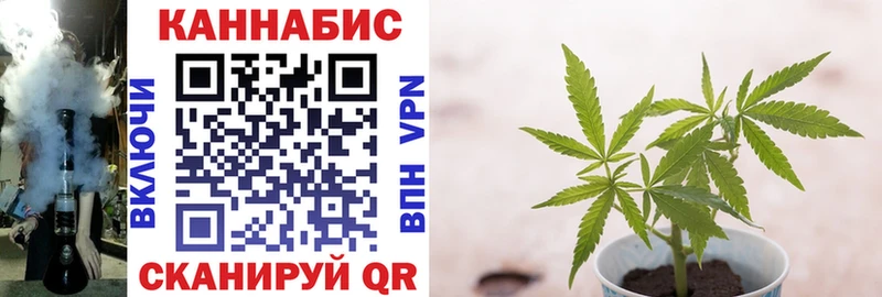 наркотики  Козловка  Канабис гибрид 